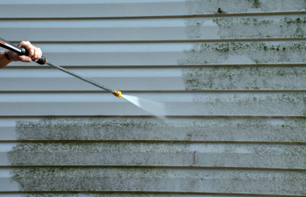 Professional Pressure Washing Services in Mount Holly Springs, PA